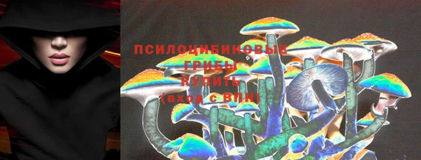 ГАЛЛЮЦИНОГЕННЫЕ ГРИБЫ Армянск